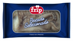 Octopus from Mozambique